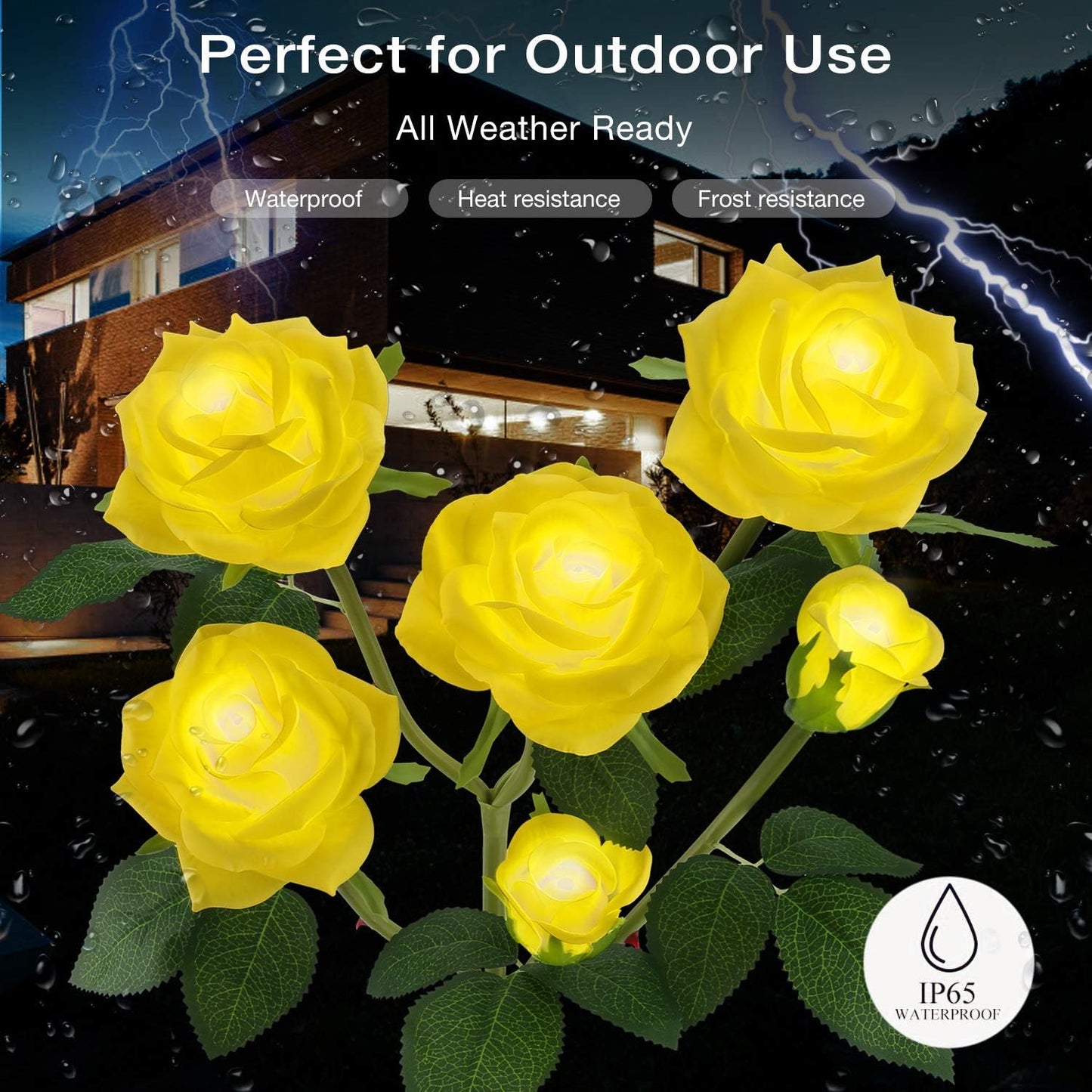  ZZZ Home LED Solar Powered Light with 6 Rose Flowers
